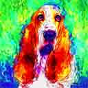 basset hound pup art dog art and abstract dogs, pup art dog pop art prints, abstract dog paintings, abstract dog portraits, pop art pet portraits and dog gifts in colorful original pop art dog art and fine art dog prints by artists Jane Billman and Gregg Billman