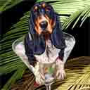 basset hound dog art and martini dogs, basset hound dog pop art prints, dog paintings, dog portraits and martini pet prints in colorful original basset hound dog art and fine art dog prints by artists Jane Billman and Gregg Billman