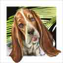 bassett hound dog art and dog faces, bassett hound dog pop art, dog paintings, party dogs and dog face pet portraits in colorful original bassett hound dog art and fine art dog prints by artists Jane Billman and Gregg Billman