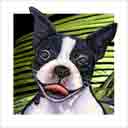 boston terrier dog art and dog faces, boston terrier dog pop art, dog paintings, party dogs and dog face pet portraits in colorful original boston terrier dog art and fine art dog prints by artists Jane Billman and Gregg Billman