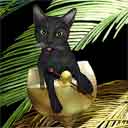 black cat art, black cat pop art cat prints, black cat paintings, pet portraits and dog prints in colorful original cat art and fine art cat prints by artists Jane Billman and Gregg Billman