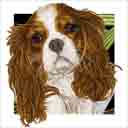 cavalier king charles spaniel dog art and dog faces, cavalier king charles spaniel dog pop art, dog paintings, party dogs and dog face pet portraits in colorful original dog art and fine art dog prints by artists Jane Billman and Gregg Billman
