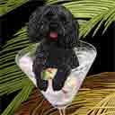 black cockapoo dog art and martini dogs, black cockapoo dog pop art prints, dog paintings, dog portraits and martini pet prints in colorful original black cockapoo dog art and fine art dog prints by artists Jane Billman and Gregg Billman