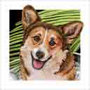 corgi dog art and dog faces, corgi dog pop art, dog paintings, party dogs and dog face pet portraits in colorful original corgi dog art and fine art dog prints by artists Jane Billman and Gregg Billman