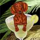 red adult dachshund dog art and martini dogs, red adult dachshund dog pop art prints, dog paintings, dog portraits and martini pet portraits in colorful original red adult dachshund dog art and fine art dog prints by artists Jane Billman and Gregg Billman