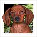 longhair red dachshund dog art and dog headshots, dachshund dog pop art, dog paintings, pet portraits, dog headshots and pet prints in colorful original dachshund dog art and fine art dog prints by artists Jane Billman and Gregg Billman