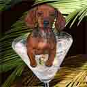 doxie dog art and martini dogs, doxie dog pop art prints, dog paintings, dog portraits and martini pet portraits in colorful original doxie dog art and fine art dog prints by artists Jane Billman and Gregg Billman