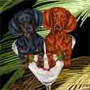 black and red adult dachshunds dog art and martini dogs, black and red adult dachshunds dog pop art prints, dog paintings, dog portraits and martini pet portraits in colorful original black and red adult dachshunds dog art and fine art dog prints by artists Jane Billman and Gregg Billman