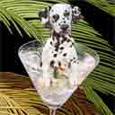 dalmatian dog art and martini dogs, dalmatian dog pop art prints, dog paintings, dog portraits and martini pet portraits in colorful original dalmatian dog art and fine art dog prints by artists Jane Billman and Gregg Billman