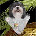 havanese art, havanese pop art dog prints, havanese paintings, pet portraits and dog prints in colorful original dog art and fine art dog prints by artists Jane Billman and Gregg Billman
