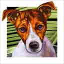 jack russell dog art and dog faces, jack russell dog pop art, dog paintings, party dogs and dog face pet portraits in colorful original jack russell dog art and fine art dog prints by artists Jane Billman and Gregg Billman