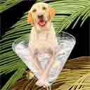 labrador retriever dog art and martini dogs, labrador retriever dog pop art, dog paintings, party dogs and martini pet portraits in colorful original labrador retriever dog art and fine art dog prints by artists Jane Billman and Gregg Billman