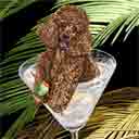 chocolate poodle dog art and martini dogs, chocolate poodle dog pop art, dog paintings, party dogs and martini pet portraits in colorful original chocolate poodle dog art and fine art poodle dog prints by artists Jane Billman and Gregg Billman