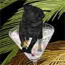 pug black dog art and martini dogs, pug dog pop art, dog paintings, party dogs and martini pet portraits in colorful original pug dog art and fine art pug dog prints by artists Jane Billman and Gregg Billman