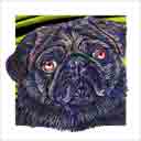 pug dog art and dog faces, pug dog pop art, dog paintings, party dogs and dog face pet portraits in colorful original pug dog art and fine art pug dog prints by artists Jane Billman and Gregg Billman