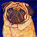 pug dog art and dog faces, pug dog pop art, dog paintings, party dogs and dog face pet portraits in colorful original pug dog art and fine art pug dog prints by artists Jane Billman and Gregg Billman