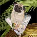 pug light fawn dog art and martini dogs, pug dog pop art, dog paintings, party dogs and martini pet portraits in colorful original pug dog art and fine art pug dog prints by artists Jane Billman and Gregg Billman