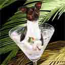 tricolor rat terrier dog art and martini dogs, rat terrier dog pop art, dog paintings, party dogs and martini pet portraits in colorful original rat terrier dog art and fine art rat terrier dog prints by artists Jane Billman and Gregg Billman