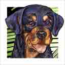 rottweiler pup dog art and dog faces, rottweiler pup dog pop art, dog paintings, party dogs and dog face pet portraits in colorful original rottweiler pup dog art and fine art rottweiler pup dog prints by artists Jane Billman and Gregg Billman