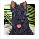 scottie, dog art and dog faces, scottie dog pop art, dog paintings, party dogs and dog face pet portraits in colorful original scottie dog art and fine art dog prints by artists Jane Billman and Gregg Billman
