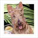 scottie dog art and dog faces, scottie dog pop art, dog paintings, party dogs and dog face pet portraits in colorful original scottie dog art and fine art dog prints by artists Jane Billman and Gregg Billman
