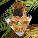 chinese shar pei dog art and martini dogs, chinese shar pei dog pop art prints, dog paintings, dog portraits and martini pet portraits in colorful original chinese shar pei dog art and fine art dog prints by artists Jane Billman and Gregg Billman