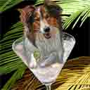 sheltie dog art and martini dogs, sheltie dog pop art, dog paintings, party dogs and martini pet portraits in colorful original sheltie dog art and fine art sheltie dog prints by artists Jane Billman and Gregg Billman