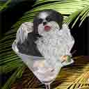 black and white shih tzu dog art and martini dogs, black and white shih tzu dog pop art, dog paintings, party dogs and martini pet portraits in colorful original black and white shih tzu dog art and fine art shih tzu dog prints by artist Jane Billman and Gregg Billman