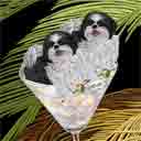 black/white and black/white shih tzus dog art and martini dogs, black/white and black/white shih tzus dog pop art, dog paintings, party dogs and martini pet portraits in colorful original black/white and black/white shih tzus dog art and fine art black/white and black/white shih tzus dog prints by artist Jane Billman and Gregg Billman