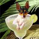 toy fox terrier dog art and margarita dogs, toy fox terrier dog pop art prints, dog paintings, dog portraits and margarita pet portraits in colorful original toy fox terrier dog art and fine art dog prints by artists Jane Billman and Gregg Billman