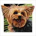 yorkie dog art and dog faces, yorkie dog pop art, dog paintings, party dogs and dog face pet portraits in colorful original yorkie dog art and fine art dog prints by artists Jane Billman and Gregg Billman