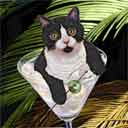 tuxedo cat art and martini cats, tuxedo cat pop art prints, cat paintings, pet portraits and martini pet prints in colorful original tuxedo cat art and fine art cat prints by artist Jane Billman and Gregg Billman