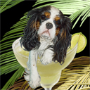 cavalier king charles spaniel dog art and margarita dogs, cavalier king charles spaniel dog pop art, dog paintings, party dogs and margarita pet portraits in colorful original dog art and fine art dog prints by artist Jane Billman and Gregg Billman