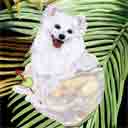 american eskimo dog art and wine dogs, american eskimo dog pop art prints, dog paintings, dog portraits and martini pet portraits in colorful original american eskimo dog art and fine art dog prints by artists Jane Billman and Gregg Billman