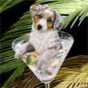 australian shepherd art, australian shepherd pop art dog prints, australian shepherd paintings, pet portraits and dog prints in colorful original dog art and fine art dog prints by artists Jane Billman and Gregg Billman