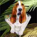 basset hound dog art and martini dogs, basset hound dog pop art prints, dog paintings, dog portraits and martini pet prints in colorful original basset hound dog art and fine art dog prints by artists Jane Billman and Gregg Billman