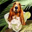 basset hound dog art and martini dogs, basset hound dog pop art prints, dog paintings, dog portraits and martini pet prints in colorful original basset hound dog art and fine art dog prints by artists Jane Billman and Gregg Billman