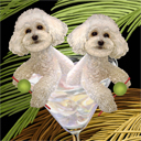 bichon dog art and martini dogs, bichon dog pop art prints, dog paintings, dog portraits and martini pet portraits in colorful original bichon dog art and fine art dog prints by artists Jane Billman and Gregg Billman