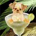 brussels griffon dog art and margarita dogs, brussels griffon dog pop art prints, dog paintings, dog portraits and margarita pet prints in colorful original brussels griffon dog art and fine art dog prints by artist Jane Billman and Gregg Billman