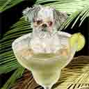 brussels griffon dog art and margarita dogs, brussels griffon dog pop art prints, dog paintings, dog portraits and margarita pet prints in colorful original brussels griffon dog art and fine art dog prints by artist Jane Billman and Gregg Billman