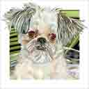 brussels griffon dog art and dog headshots, brussels griffon dog pop art prints, dog paintings, pet portraits, dog headshots and dog prints in colorful original brussels griffon dog art and fine art dog prints by artists Jane Billman and Gregg Billman