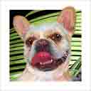 french bulldog dog art and dog headshots, french bulldog dog pop art prints, dog paintings, pet portraits, dog headshots and dog prints portraits in colorful original french bulldog dog art and fine art dog prints by artists Jane Billman and Gregg Billman