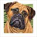 bullmastiff dog art and dog headshots, bullmastiff dog pop art prints, dog paintings, pet portraits, dog headshots and dog prints in colorful original bullmastiff dog art and fine art dog prints by artists Jane Billman and Gregg Billman