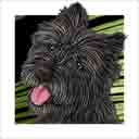 black cairn terrier dog art and dog headshots, cairn terrier dog pop art prints, dog paintings, pet portraits, dog headshots and pet prints in colorful original cairn terrier dog art and fine art dog prints by artists Jane Billman and Gregg Billman