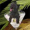 black cairn terrier dog art and martini dogs, cairn terrier dog pop art prints, dog paintings, dog portraits and martini pet portraits in colorful original cairn terrier dog art and fine art dog prints by artists Jane Billman and Gregg Billman