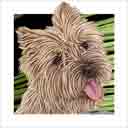 brown cairn terrier dog art and dog headshots, cairn terrier dog pop art prints, dog paintings, pet portraits, dog headshots and pet prints in colorful original cairn terrier dog art and fine art dog prints by artists Jane Billman and Gregg Billman