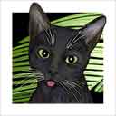 black cat art and cat headshots, black cat pop art prints, cat paintings, pet portraits, cat headshots and cat prints in colorful original black cat art and fine art cat prints by artist Jane Billman and Gregg Billman