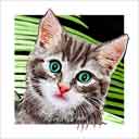 grey tabby cat art and cat headshots, grey tabby cat pop art prints, cat paintings, pet portraits and martini cat prints in colorful original grey tabby cat art and fine art cat prints by artist Jane Billman and Gregg Billman