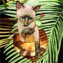 siamese cat art and wine cats, siamese cat pop art, cat paintings, party cats and wine pet portraits in colorful original siamese cat art and fine art cat prints by artist Jane Billman and Gregg Billman