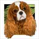 freckles cavalier king charles spaniel dog art and dog headshots, cavalier king charles spaniel dog pop art prints, dog paintings, pet portraits, dog headshots and pet prints in colorful original dog art and fine art dog prints by artists Jane Billman and Gregg Billman
